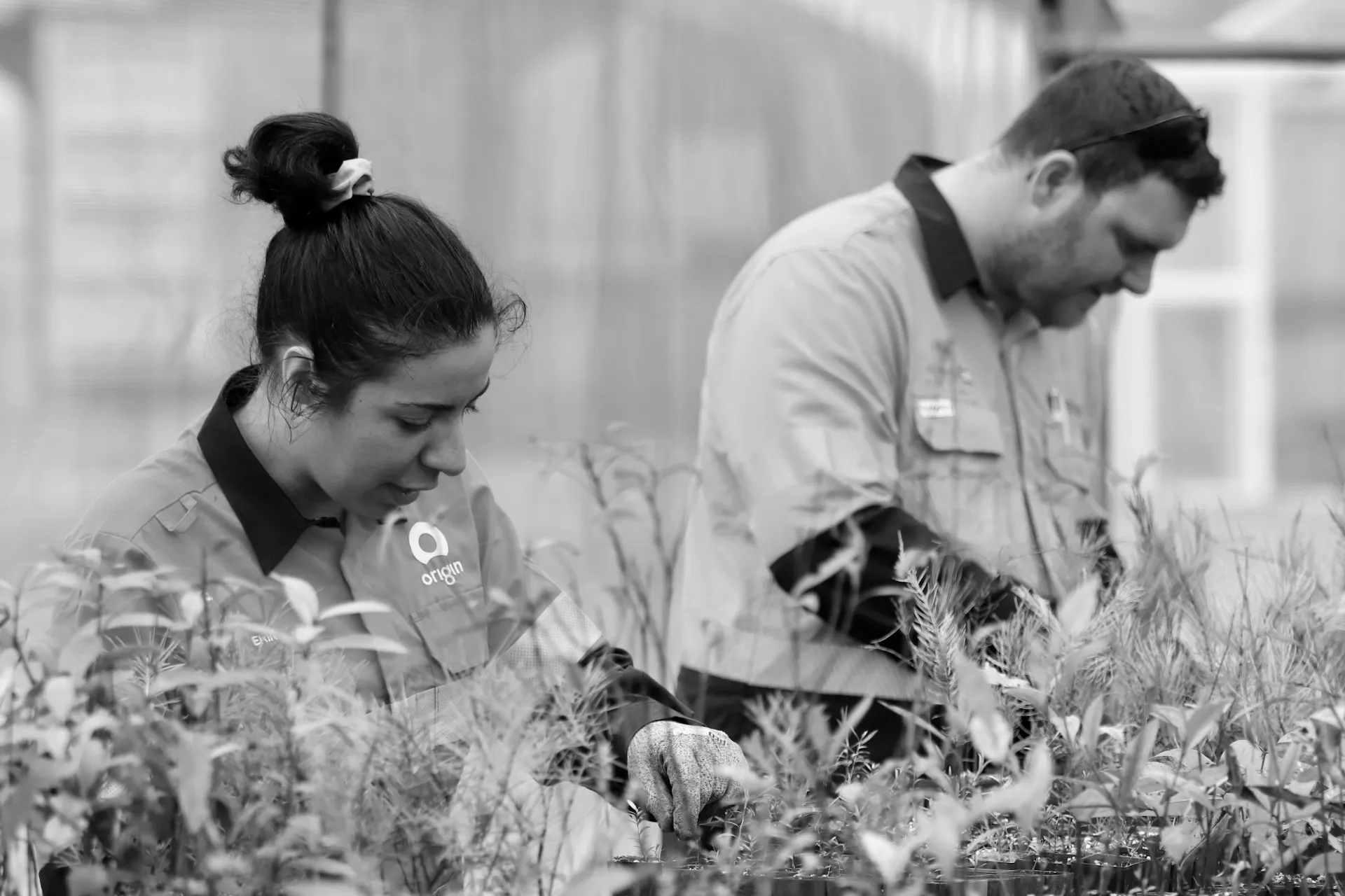 Partner-Employers Indigenous-Land-Management